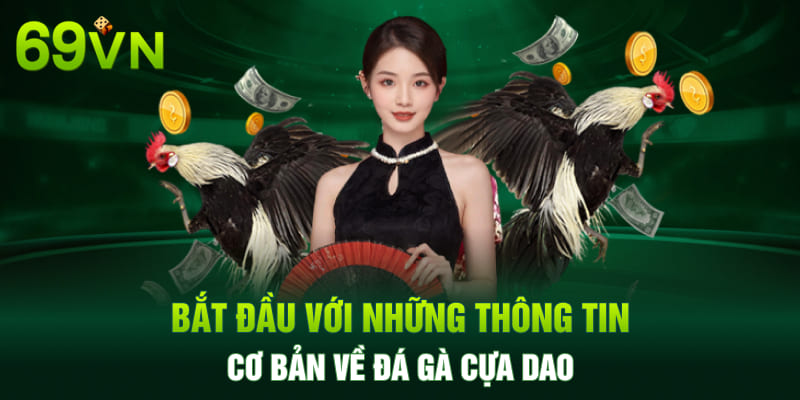 Bắt đầu với những thông tin cơ bản về đá gà cựa dao