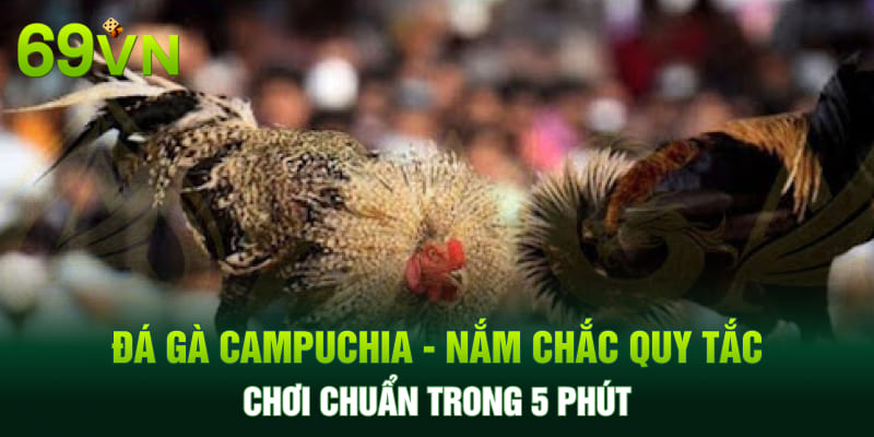 Đá Gà Campuchia - Nắm Chắc Quy Tắc Chơi Chuẩn Trong 5 Phút