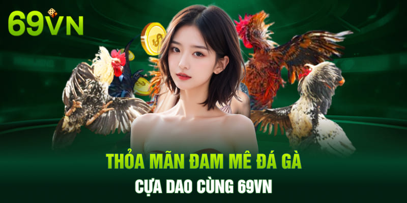 Thỏa mãn đam mê đá gà cựa dao cùng 69VN