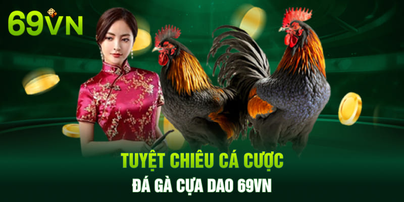 Tuyệt chiêu cá cược đá gà cựa dao 69VN